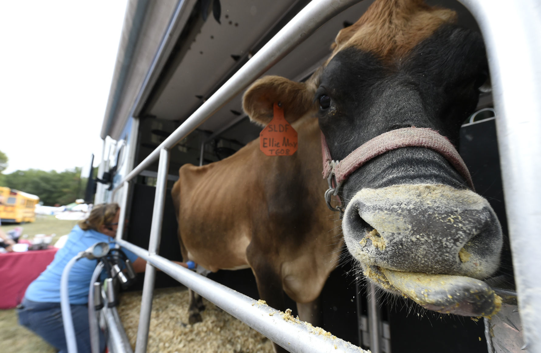 Agricultural Fair